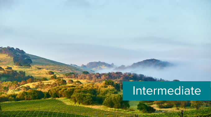 Burg Level template (1).png